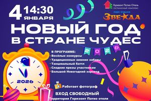 Новогодняя программа "Новый год в стране чудес"