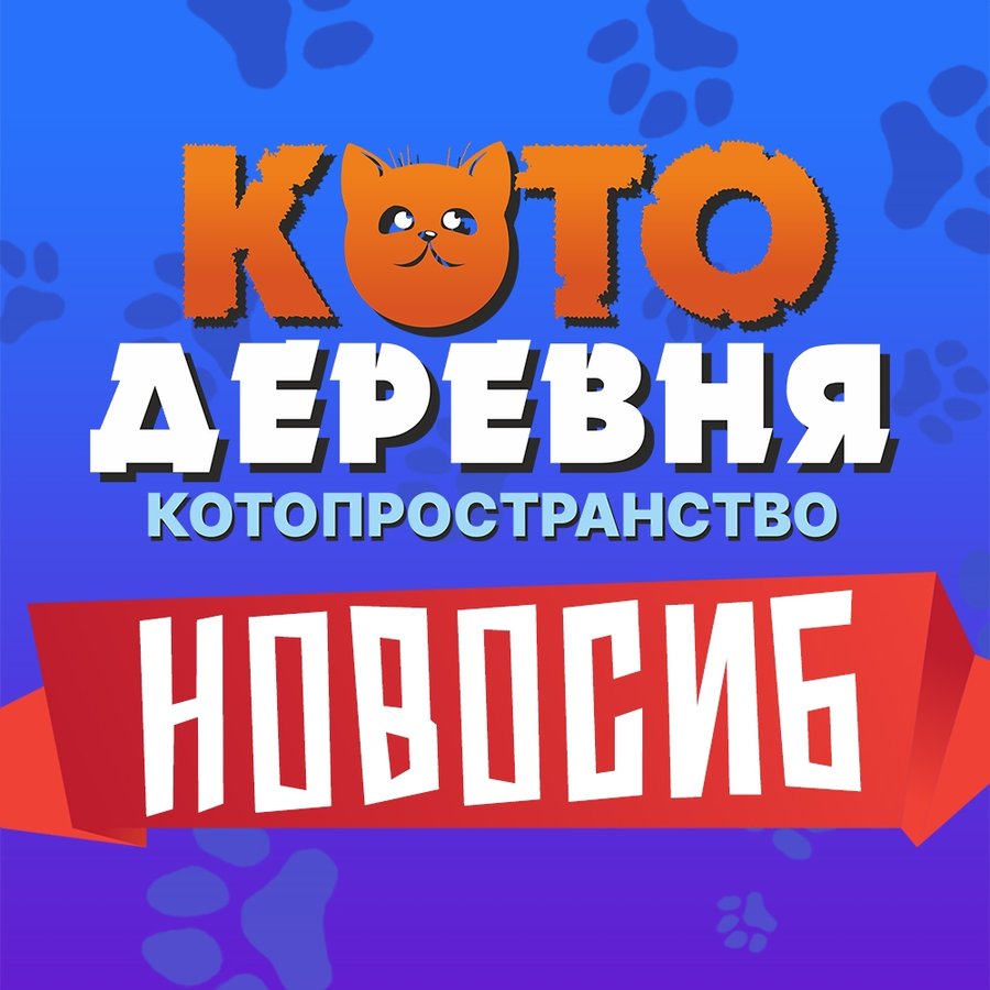 «Котодеревня» в ТРЦ Калейдоскоп - изображение 1