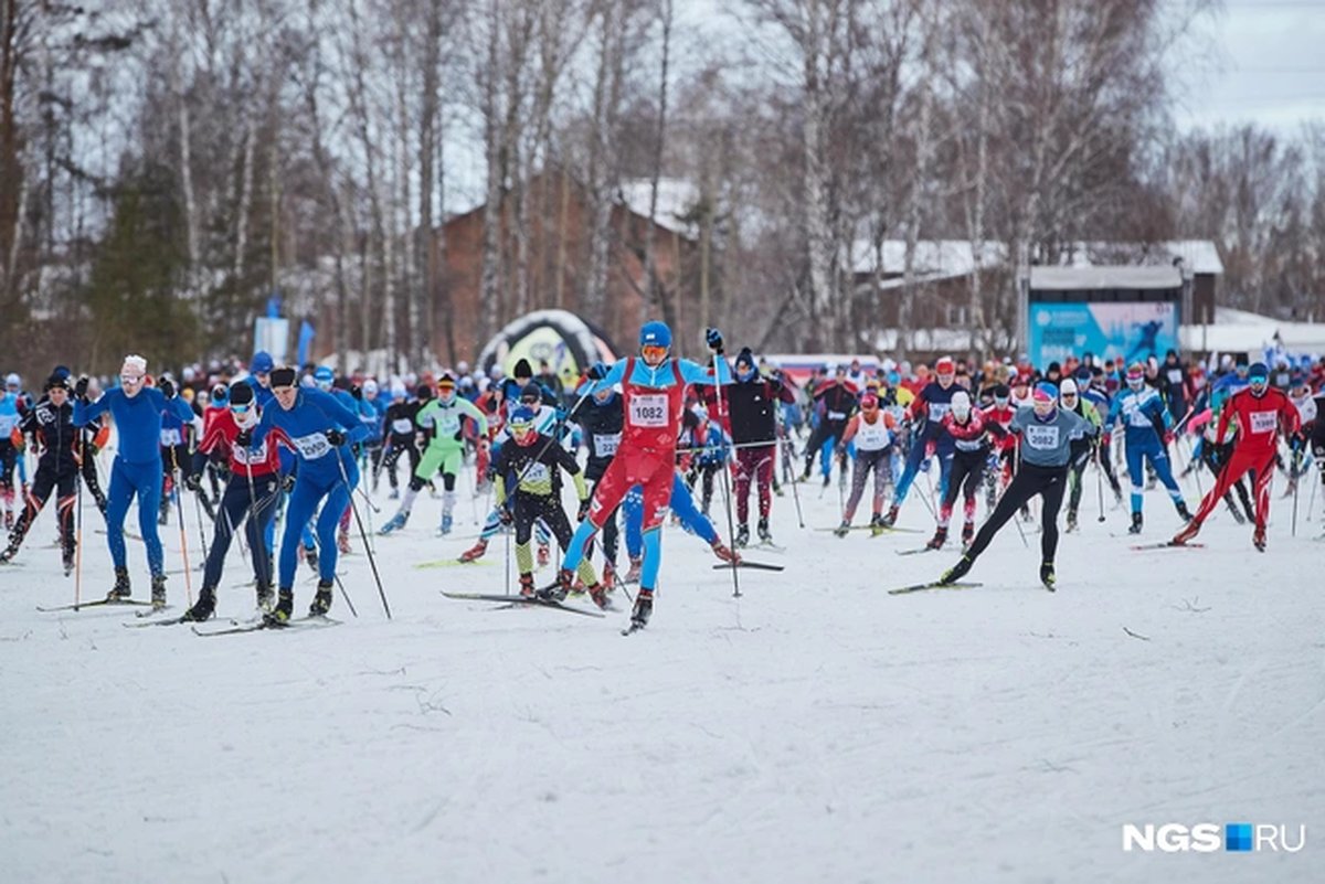Лыжня России-2026 Новосибирск - изображение 2