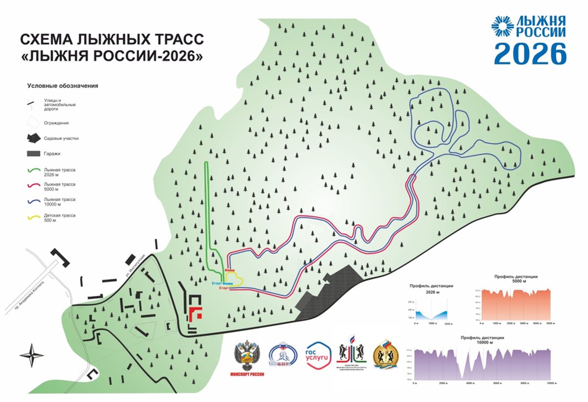 Лыжня России-2026 Новосибирск - изображение 4