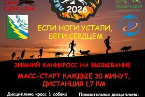 «Горячий лёд» 2026 — каникросс с собакой