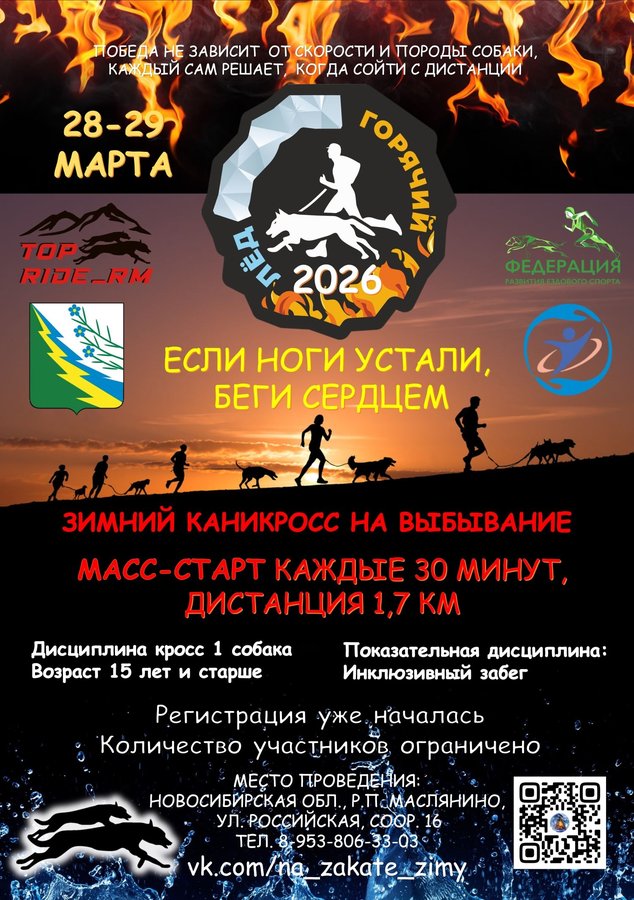 «Горячий лёд» 2026 — каникросс с собакой - изображение 1