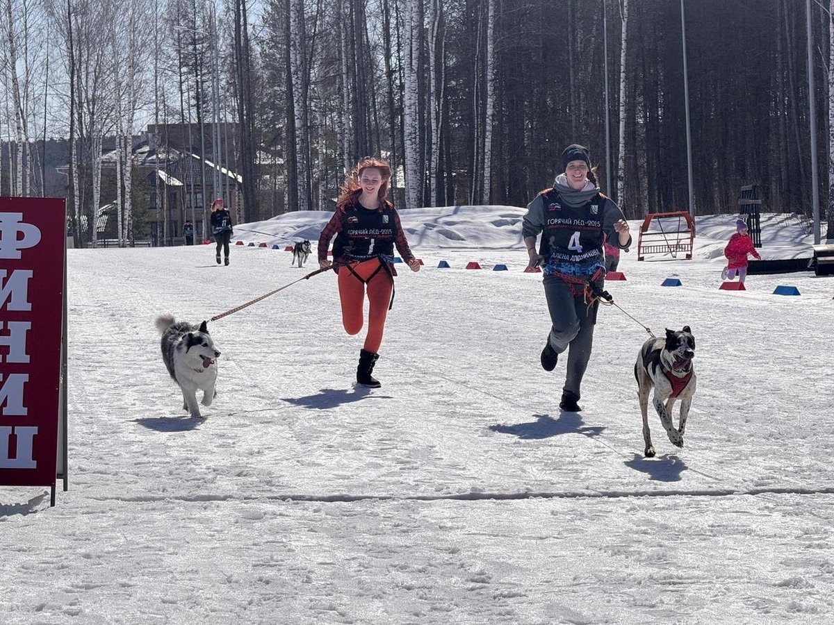 «Горячий лёд» 2026 — каникросс с собакой - изображение 2