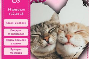 День Хвоста — ярмарка-раздача животных в ТРЦ «Аура»