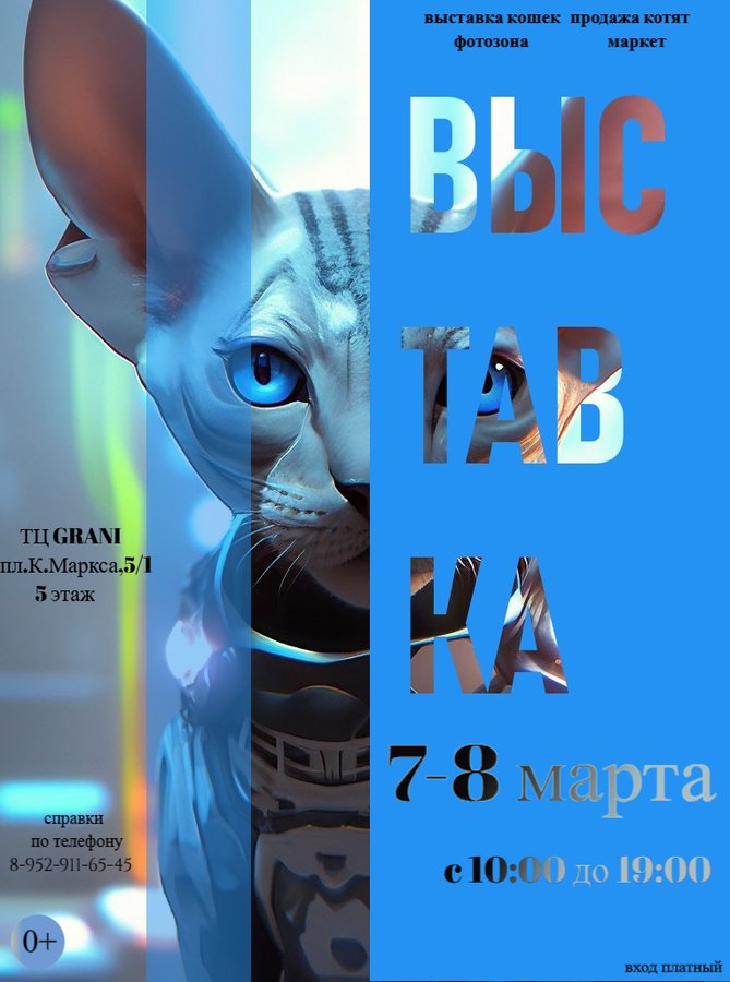 Выставка кошек в ТЦ GRANI - изображение 1