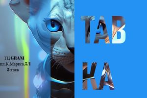 Выставка кошек в ТЦ GRANI