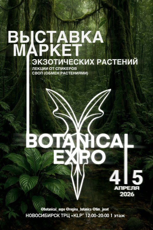 Botanical Expo 2026 в Новосибирске — выставка растений - изображение 1