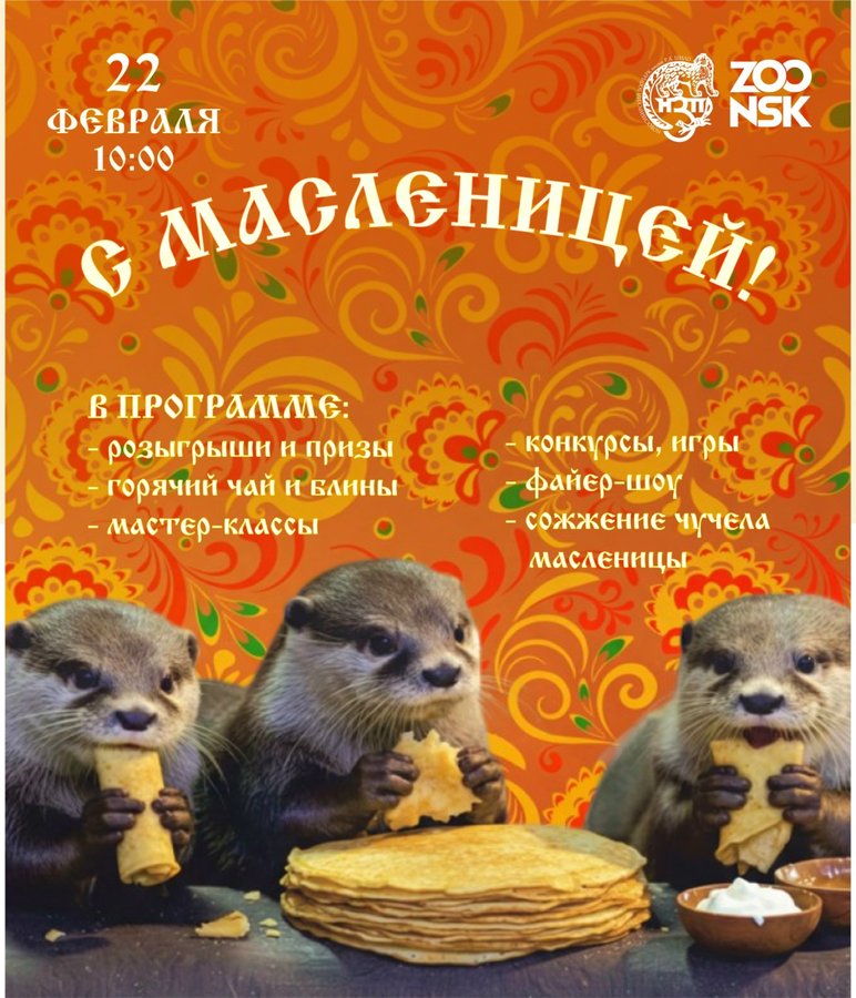 Масленица в Новосибирском зоопарке 2026 - изображение 1