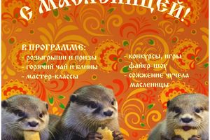 Масленица в Новосибирском зоопарке 2026