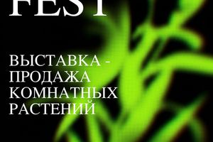 GREEN FEST — выставка-продажа комнатных растений
