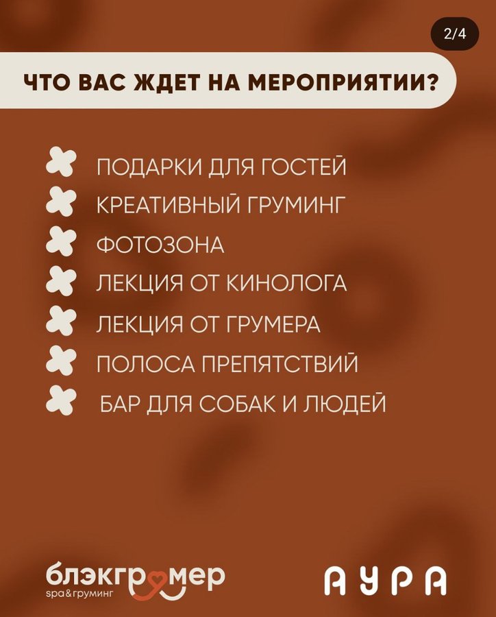DOG PARTY от салона груминга Блэкгрумер в Ауре - изображение 2