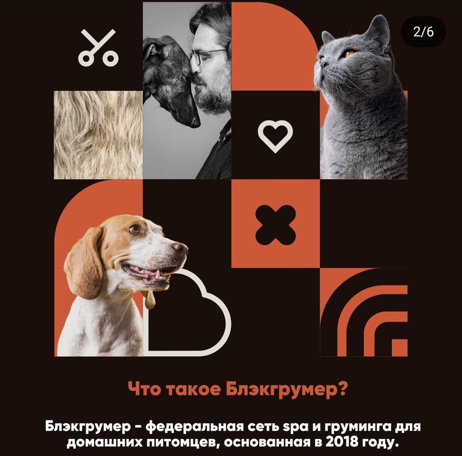 DOG PARTY от салона груминга Блэкгрумер в Ауре - изображение 3