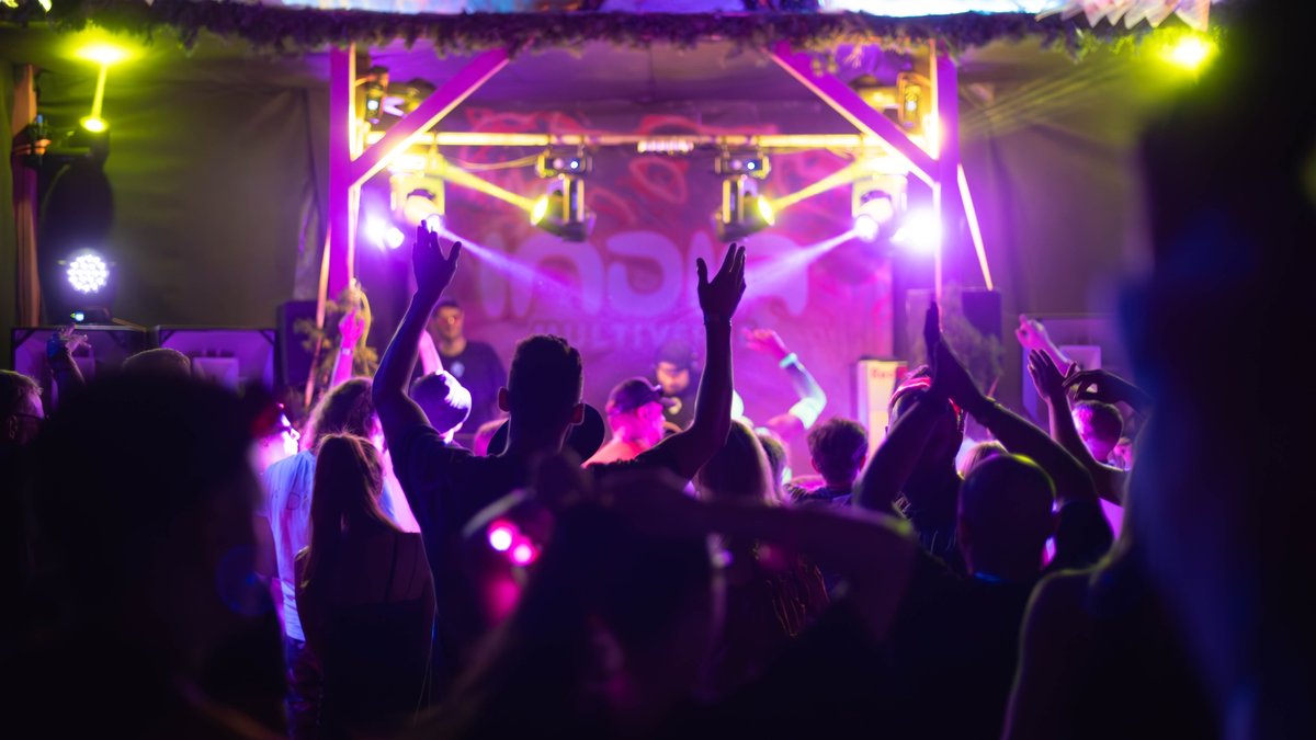 INDIA FESTIVAL 2026 — фестиваль электронной музыки - изображение 4