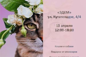 Ярмарка-раздача животных День Хвоста