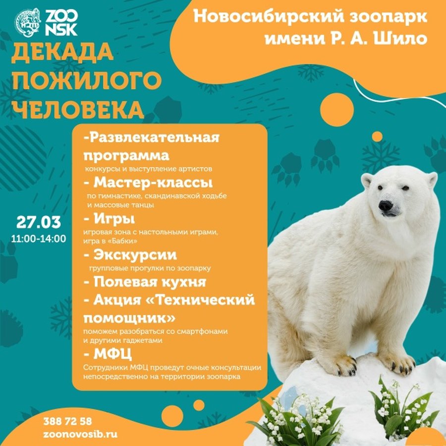 Декада пожилого человека в Новосибирском зоопарке - изображение 1