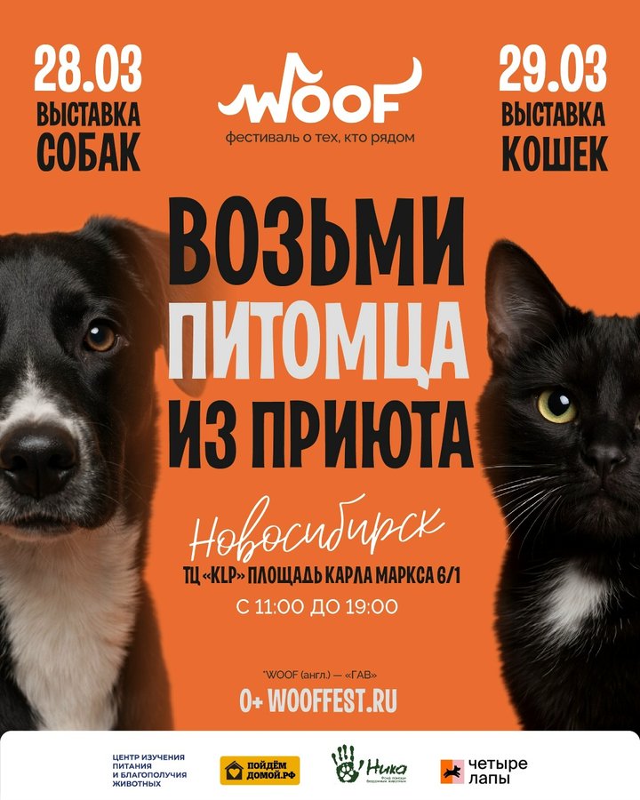 WOOF FEST фестиваль приютских кошек и собак - изображение 1