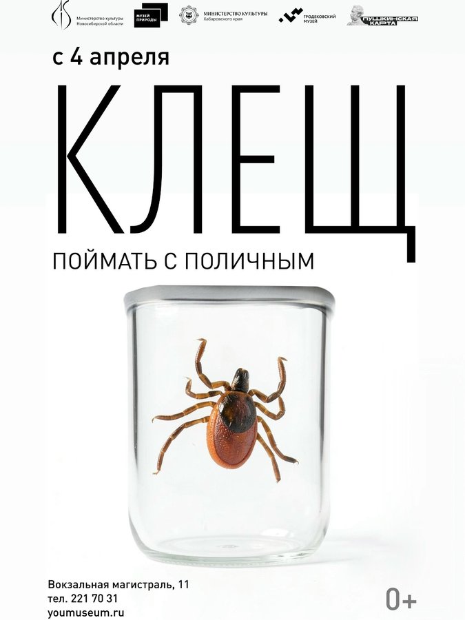 Выставка-детектив «Клещ. Поймать с поличным» - изображение 1