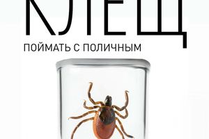 Выставка-детектив «Клещ. Поймать с поличным»