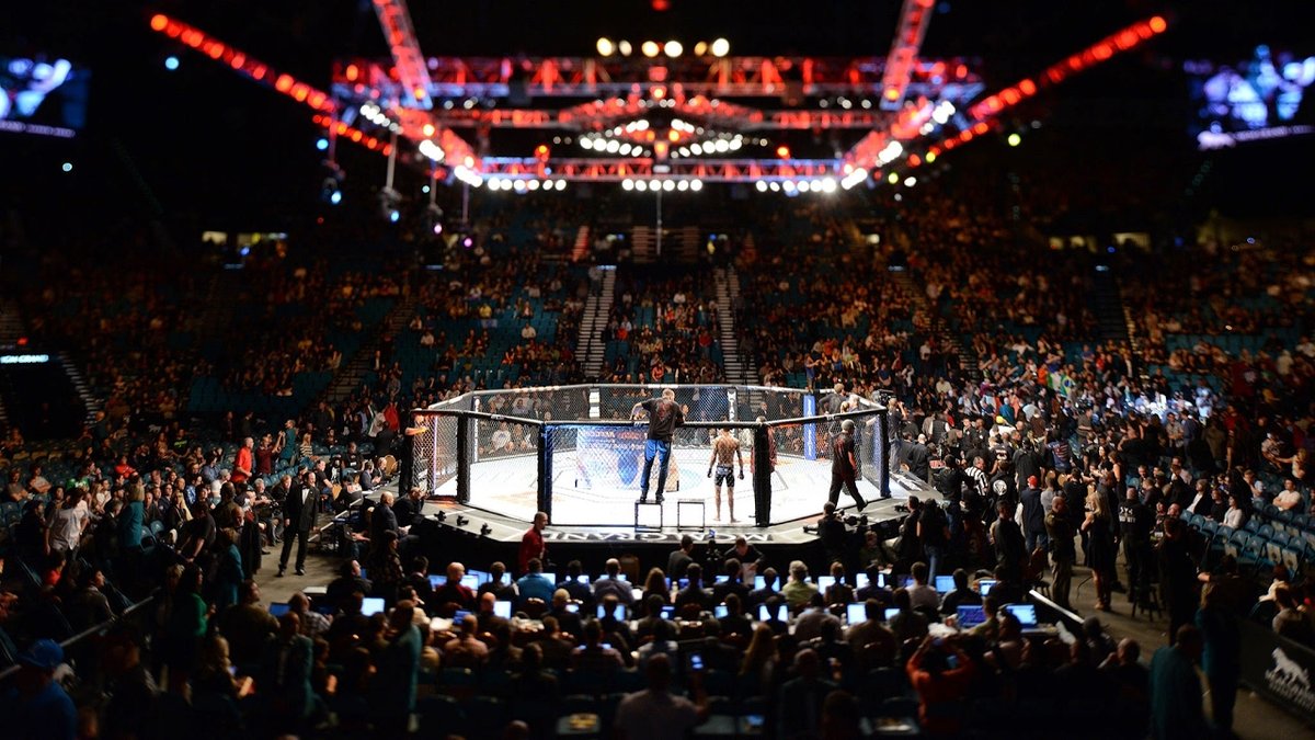 ММА турнир в Автолегионе - изображение 2