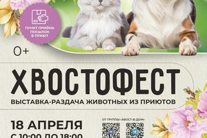 Хвостофест: выставка-раздача животных из приютов