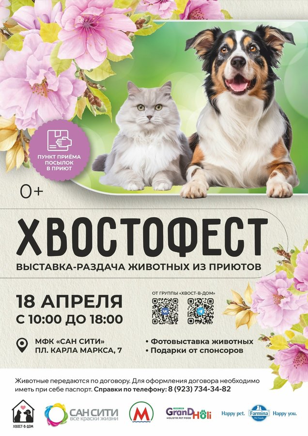 Хвостофест: выставка-раздача животных из приютов - изображение 1