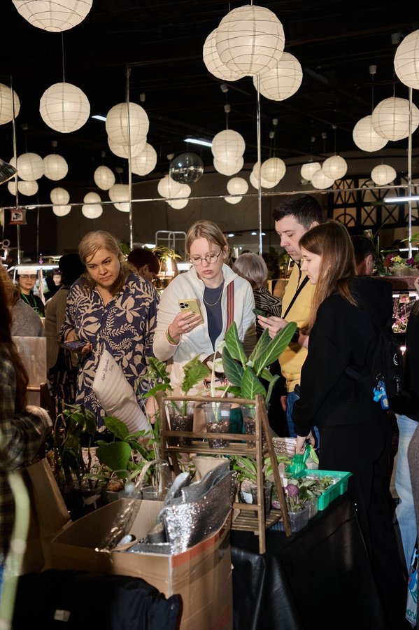 Фестиваль комнатных растений GREEN FEST - изображение 3