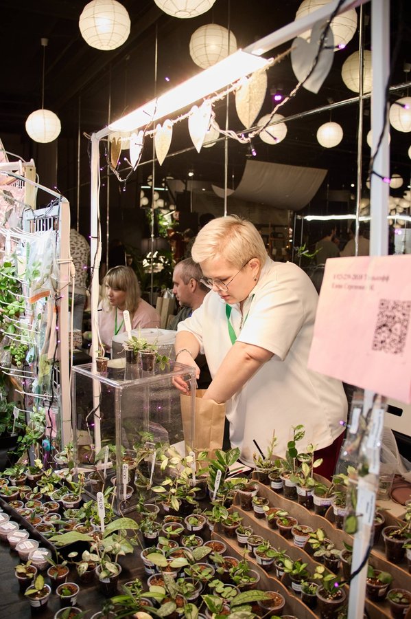 Фестиваль комнатных растений GREEN FEST - изображение 2