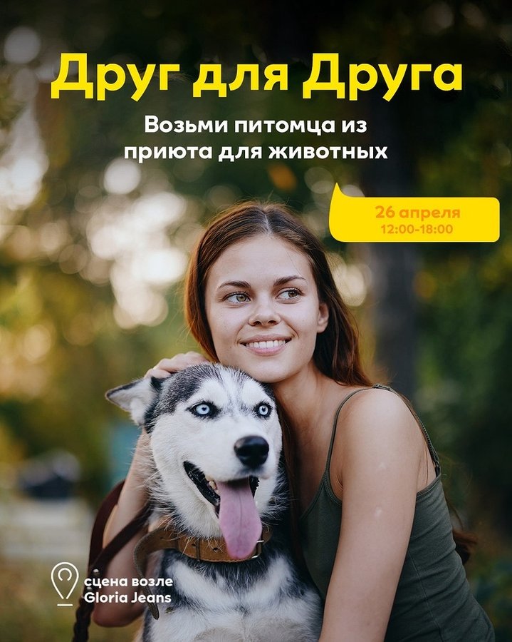 Выставка-раздача животных Друг для Друга в МЕГЕ - изображение 1