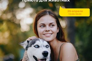 Выставка-раздача животных Друг для Друга в МЕГЕ