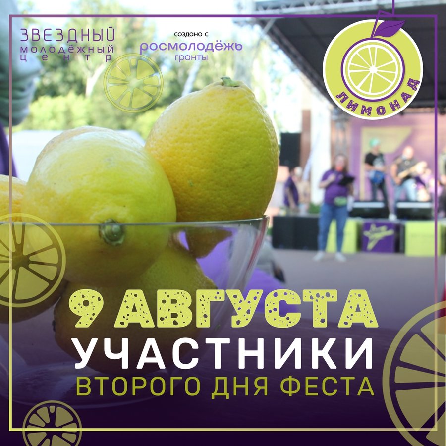 Летний молодёжный фестиваль «Лимонад» - изображение 3