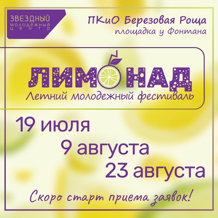 Летний молодёжный фестиваль «Лимонад» - изображение 2