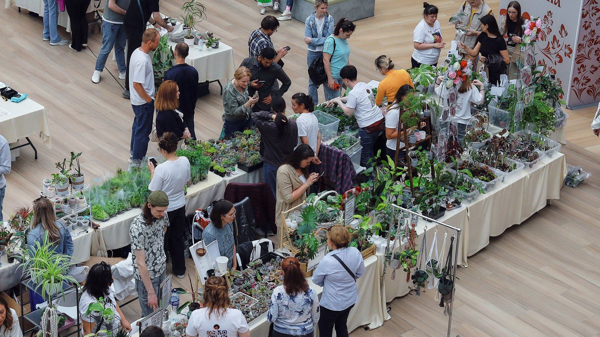 Зелёный СВОП в ТРЦ Аура — обмен растениями и книгами - изображение 1