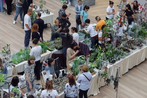 Зелёный СВОП в ТРЦ Аура — обмен растениями и книгами