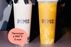 Открытие PIMS в МЕГЕ