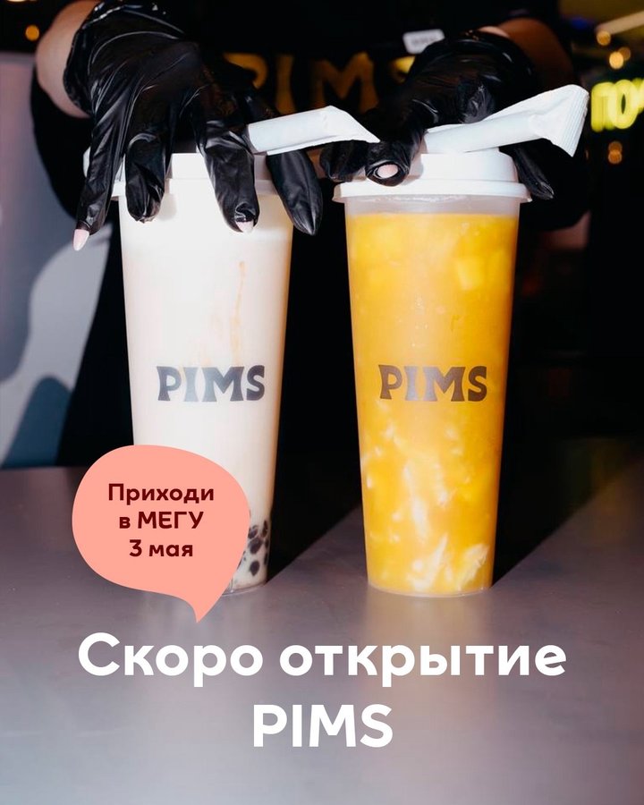 Открытие PIMS в МЕГЕ - изображение 1