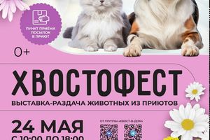 Хвостофест: выставка-раздача животных