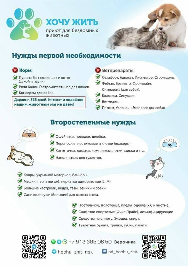 Благотворительная фотосессия Доброе сердце - изображение 2