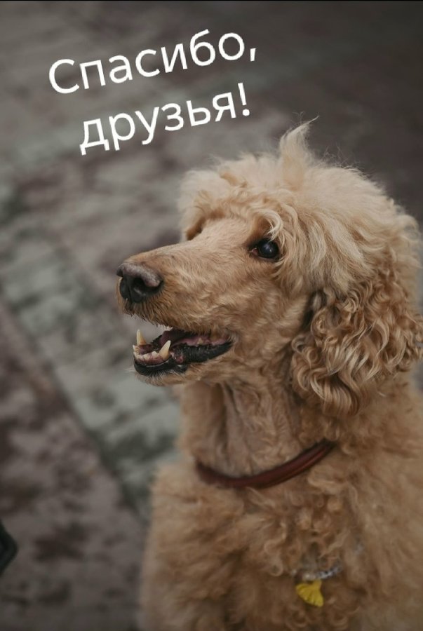 Благотворительная фотосессия Доброе сердце - изображение 3