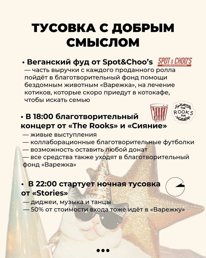 День рождения котокафе Мурчим - изображение 3