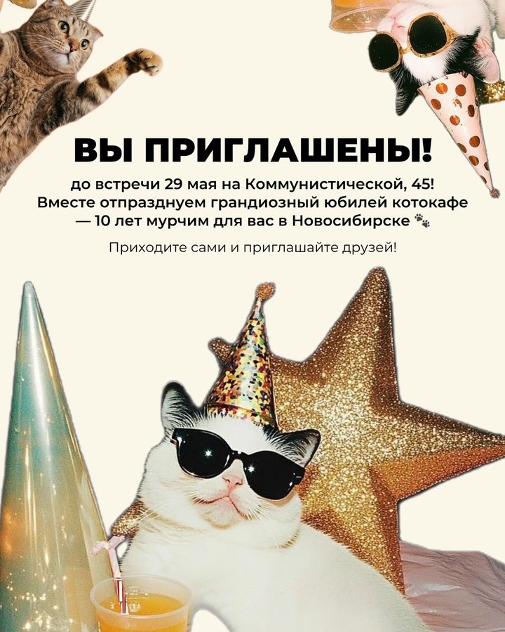День рождения котокафе Мурчим - изображение 4