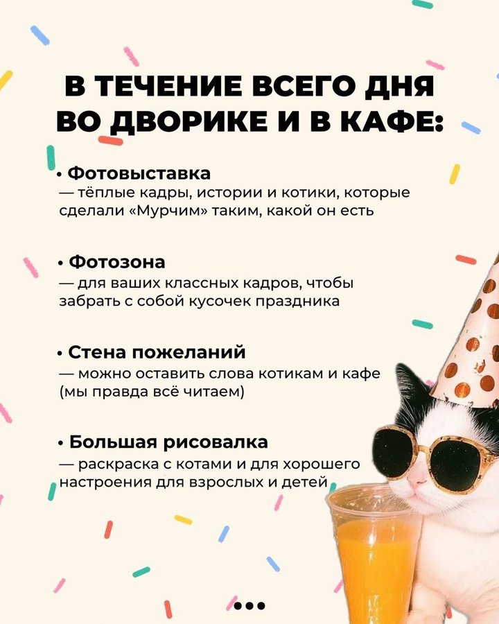 День рождения котокафе Мурчим - изображение 2