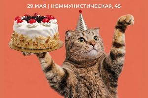 День рождения котокафе Мурчим