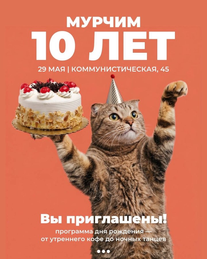 День рождения котокафе Мурчим - изображение 1