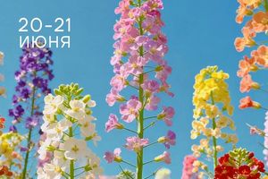 Летний Shopping Weekend в Ройял Парке