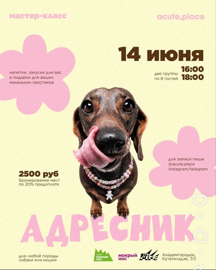 Мастер-класс по созданию адресников для питомцев - изображение 1
