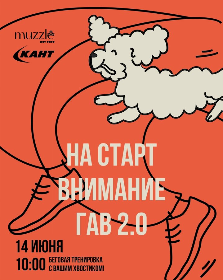 FUN RUN 2.0: Забег с собакой - изображение 1