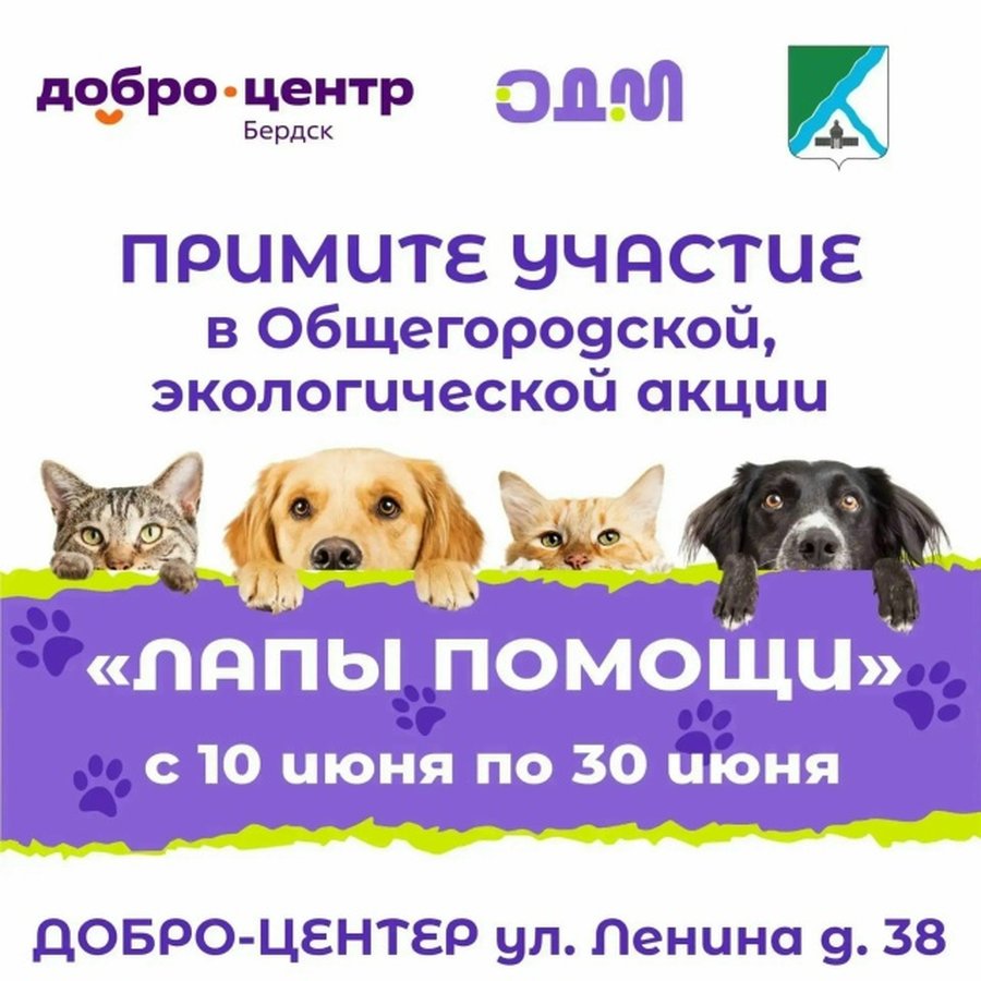 Экологическая акция Лапы помощи в Бердске - изображение 1