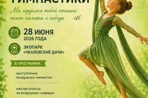 Фестиваль воздушной гимнастики | Чкаловские дачи