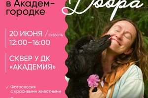 Благотворительная фотосессия с собаками