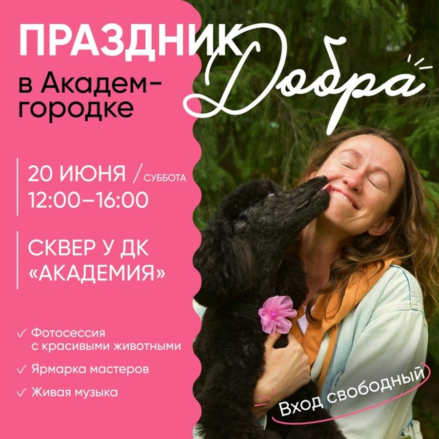 Благотворительная фотосессия с собаками - изображение 1